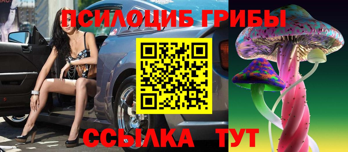 как найти закладки  Вход с VPN  Уфа  Псилоцибиновые грибы GOLDEN TEACHER 